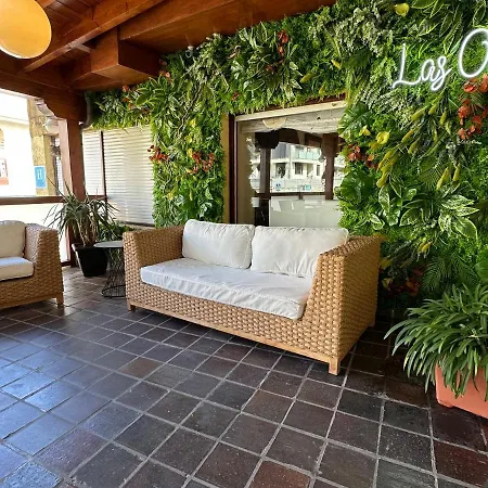 Hotel Olas
